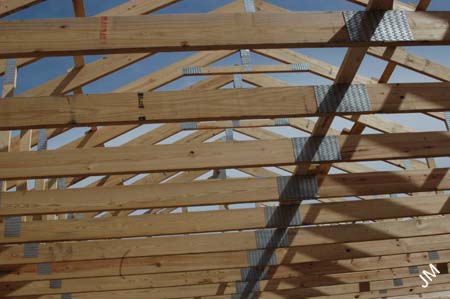 DSC_8274